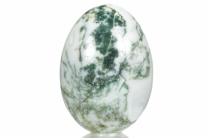 Polished Tree Agate Egg - India #356346